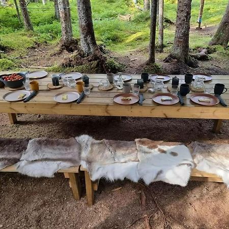 Treetop Ekne - Hytte I Skogen Med Hengebru Hotel Levanger Kültér fotó