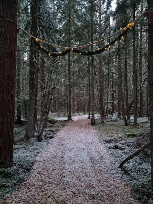 Treetop Ekne - Hytte I Skogen Med Hengebru Hotel Levanger Kültér fotó