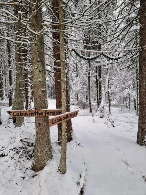 Treetop Ekne - Hytte I Skogen Med Hengebru Hotel Levanger Kültér fotó