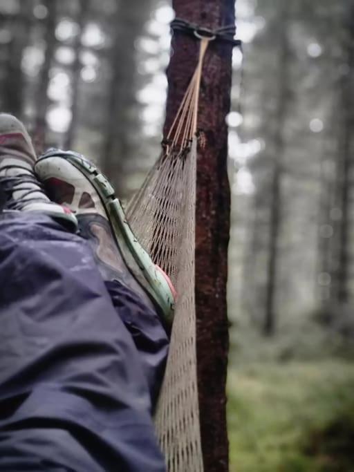 Treetop Ekne - Hytte I Skogen Med Hengebru Hotel Levanger Kültér fotó