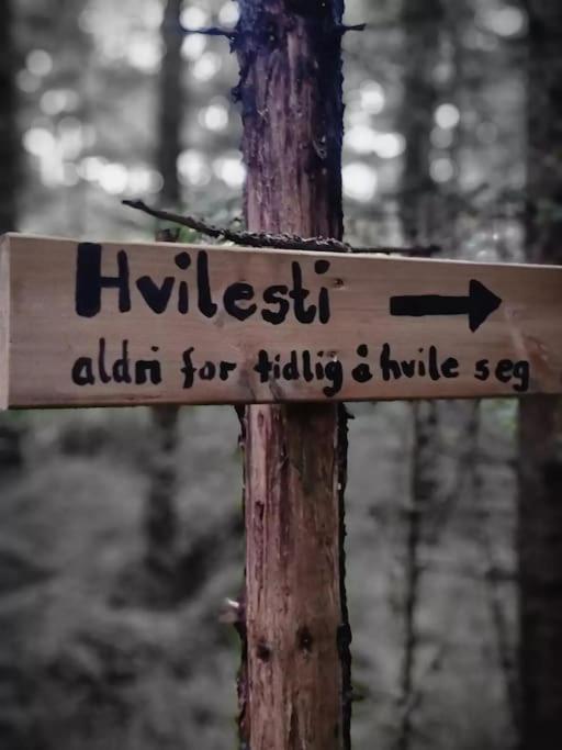 Treetop Ekne - Hytte I Skogen Med Hengebru Hotel Levanger Kültér fotó