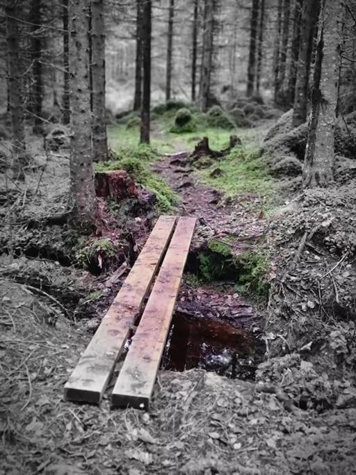 Treetop Ekne - Hytte I Skogen Med Hengebru Hotel Levanger Kültér fotó