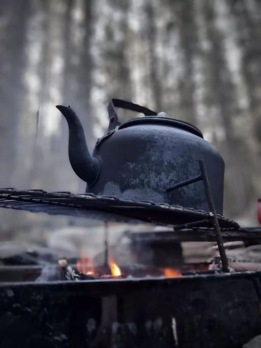 Treetop Ekne - Hytte I Skogen Med Hengebru Hotel Levanger Kültér fotó