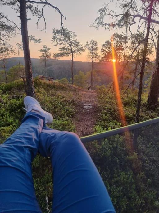 Treetop Ekne - Hytte I Skogen Med Hengebru Hotel Levanger Kültér fotó