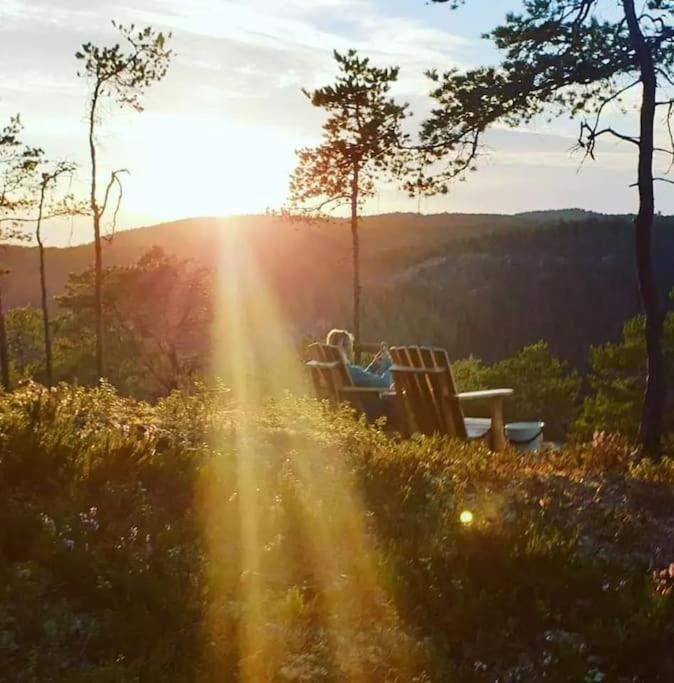 Treetop Ekne - Hytte I Skogen Med Hengebru Hotel Levanger Kültér fotó