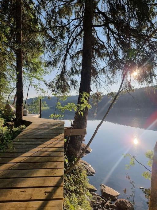 Treetop Ekne - Hytte I Skogen Med Hengebru Hotel Levanger Kültér fotó