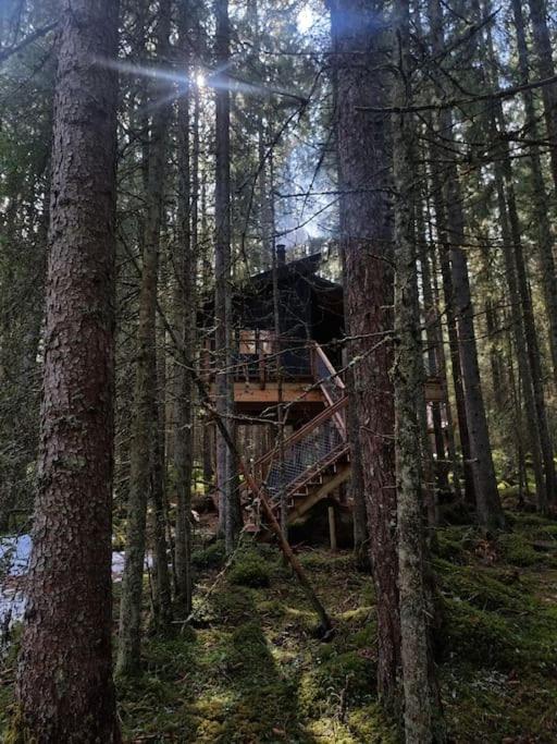 Treetop Ekne - Hytte I Skogen Med Hengebru Hotel Levanger Kültér fotó