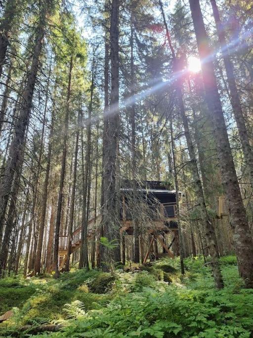 Treetop Ekne - Hytte I Skogen Med Hengebru Hotel Levanger Kültér fotó